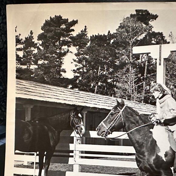 Vintage 1961 Susan Slade Movie Still Connie Stevens 17 Mile Stables Horse Photo - Picture 6 of 14